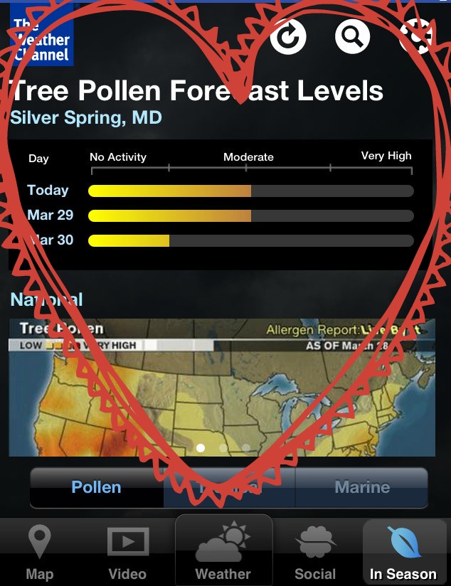 weatherpollen2