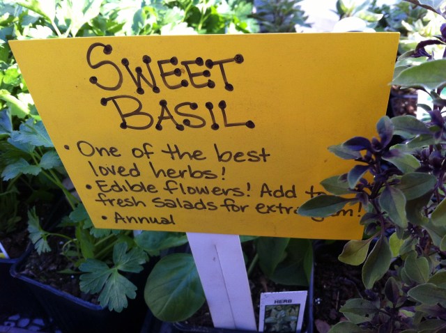 sweetbasil