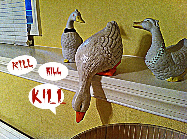 killerducks1