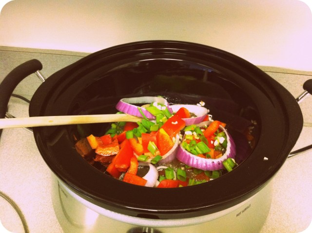 playingwiththecrockpot