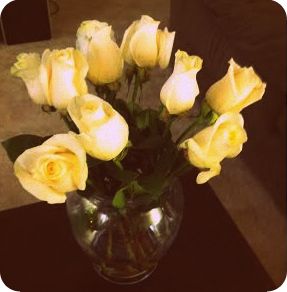 whiteroses2
