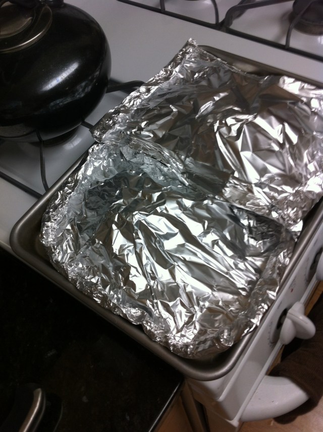 chickenandveggiefoilpacks10